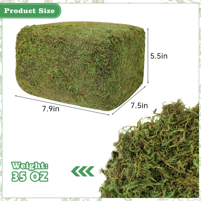 YUNVI 35 OZ Large Capacity Artificial Moss for Potted Plants Natural Artificial Moss Grass for Fake Plants Indoor Craft Moss and Greenery Bulk Forest Moss for Hamsters(Fresh Green) - Image 2